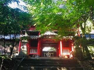 弥栄神社〜美しい赤と緑の世界【大分県・大分市】