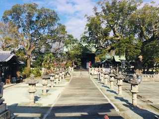下庄八幡神社～大楠といろんな神さまに注目！【福岡県・みやま市】